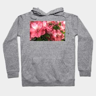 Pretty Pink Flowers Hoodie